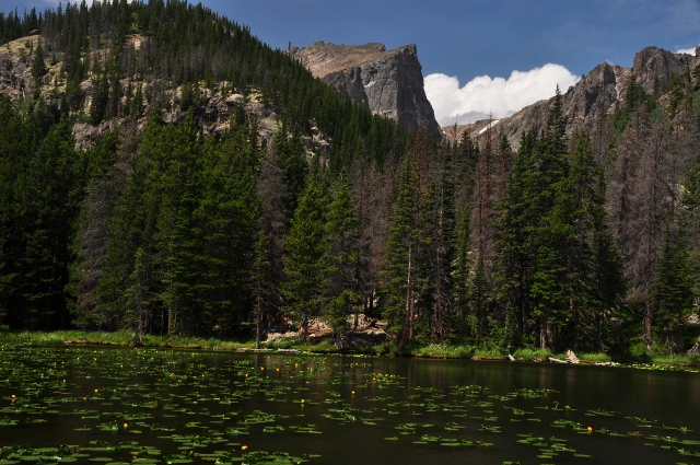 Nymph Lake